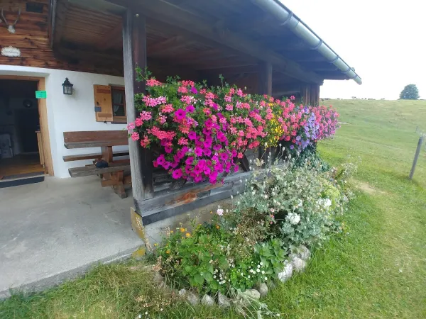 Bild von undefined