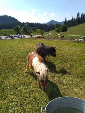 Bild von undefined