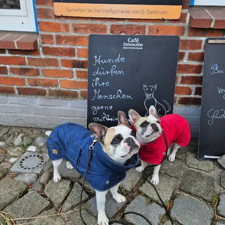 Bild von Oma's Kaffeestuuv
