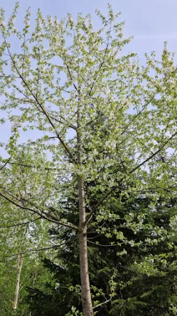 Bild von Gaststätte Weidmannsruh