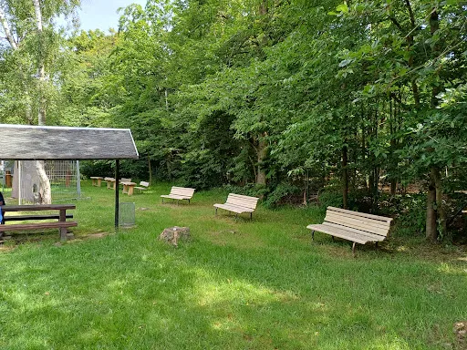 Bild von Gaststätte Waldhof