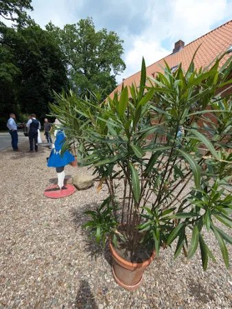 Bild von Café Alte Schule by Erna