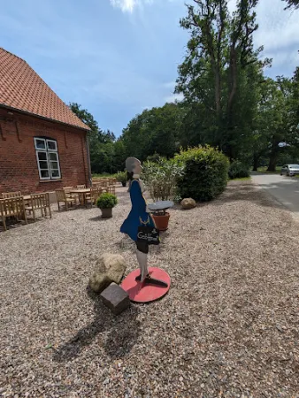 Bild von Café Alte Schule by Erna