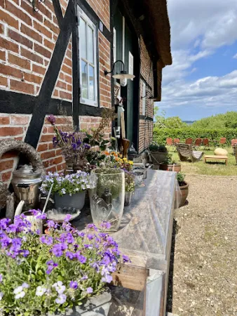 Bild von Café am See Bellin
