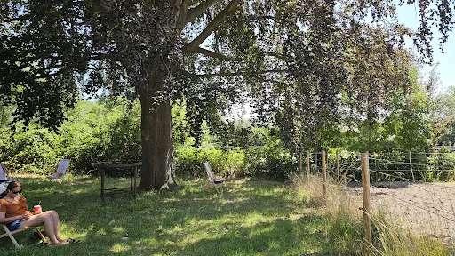Bild von Alte Deichkate