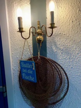 Bild von Schleimöwe