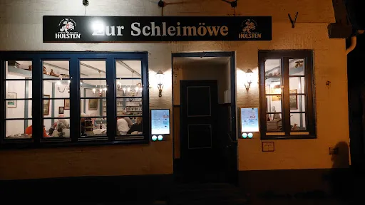 Bild von Schleimöwe