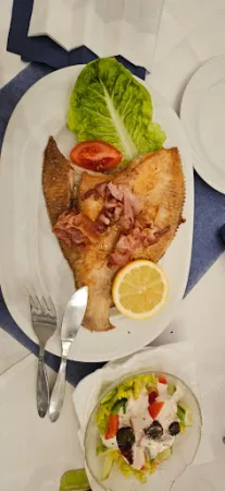 Bild von Schleimöwe