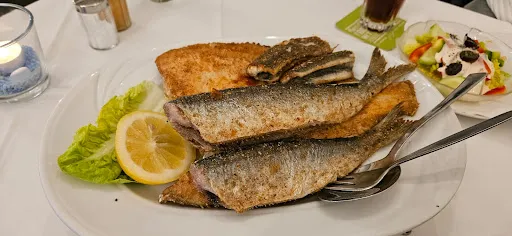 Bild von Schleimöwe