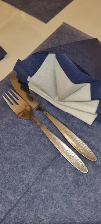 Bild von Schleimöwe