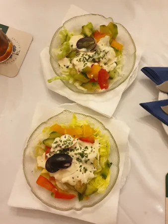 Bild von Schleimöwe