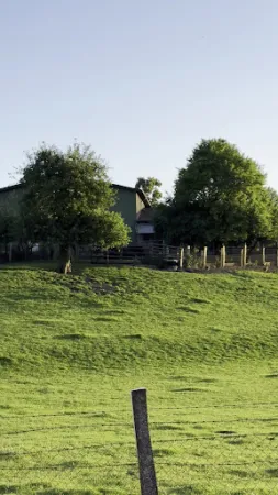 Bild von Antik-Hof Bissee