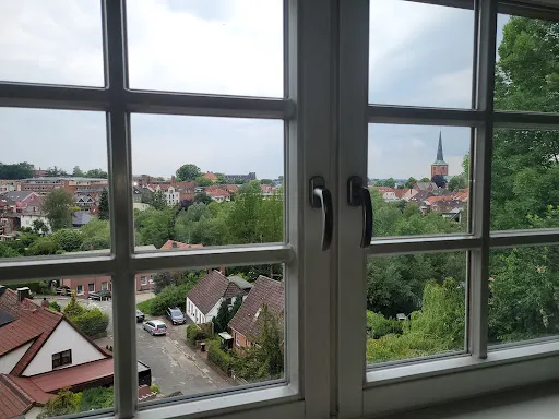 Bild von Mora Mora