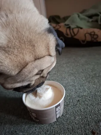 Bild von Café Italiano
