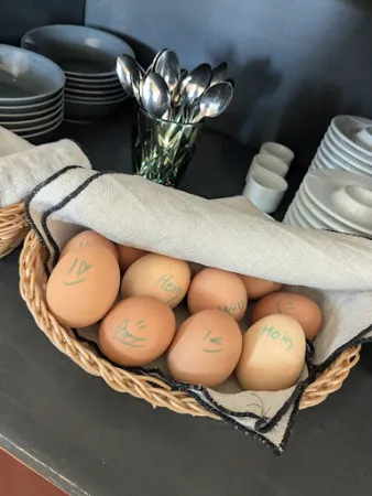 Bild von Kanal 33 Pension - Café - Biergarten