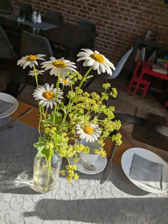 Bild von Kanal 33 Pension - Café - Biergarten