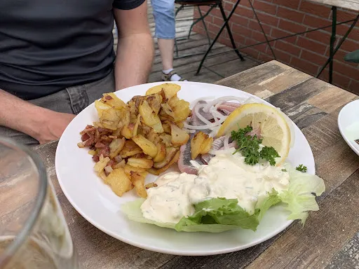 Bild von Schleimöwe