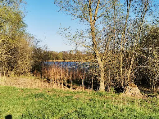 Bild von Strandblick