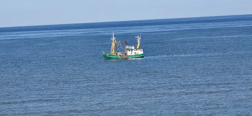 Bild von Onkel Johnny GbR