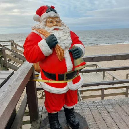 Bild von Strandhafer Sylt