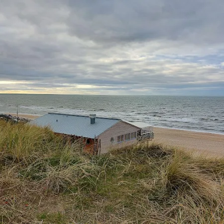 Bild von Strandhafer Sylt