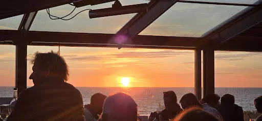 Bild von Strandhafer Sylt