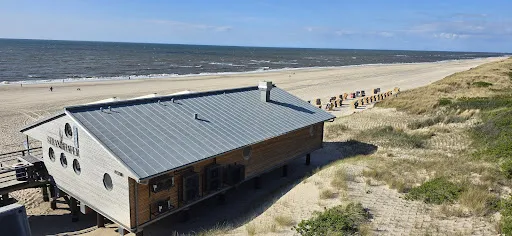 Bild von Strandhafer Sylt