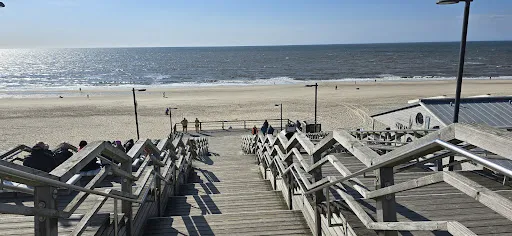 Bild von Strandhafer Sylt