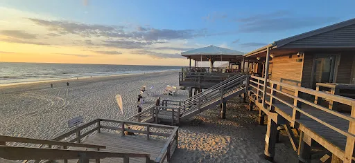 Bild von Strandhafer Sylt
