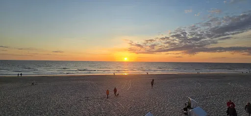 Bild von Strandhafer Sylt