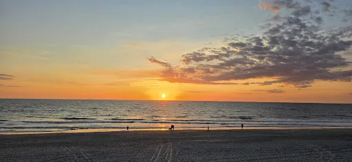 Bild von Strandhafer Sylt