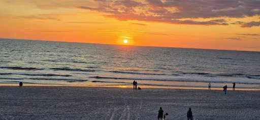 Bild von Strandhafer Sylt
