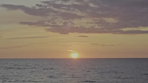 Bild von Strandhafer Sylt
