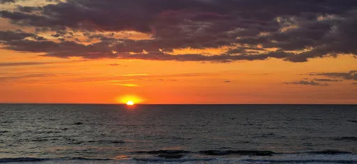 Bild von Strandhafer Sylt