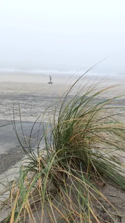 Bild von Restaurant Sunset Beach