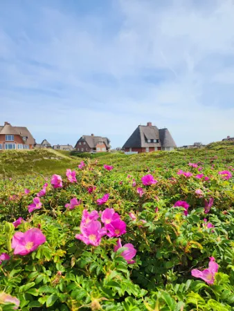 Bild von Strandmuschel Restaurant Sylt