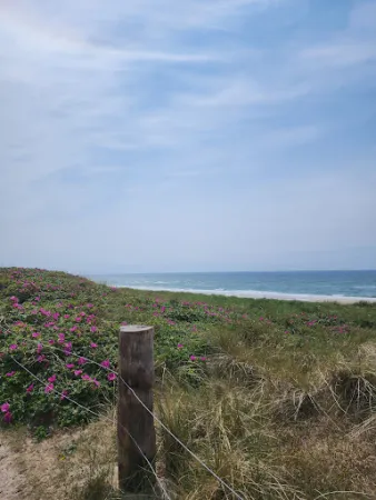Bild von Strandmuschel Restaurant Sylt