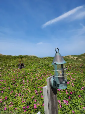Bild von Strandmuschel Restaurant Sylt