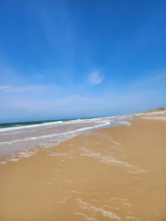 Bild von Strandmuschel Restaurant Sylt