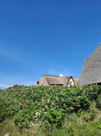 Bild von Strandmuschel Restaurant Sylt