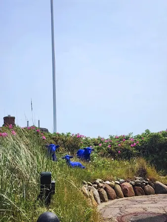 Bild von Strandmuschel Restaurant Sylt