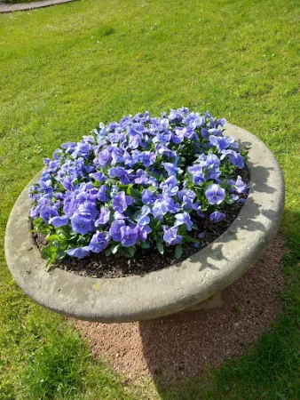 Bild von Parkklause im Barockgarten