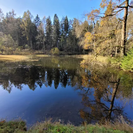 Bild von Bornwaldschänke - Jano Kahle