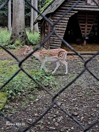 Bild von Landhaus / Waldklause