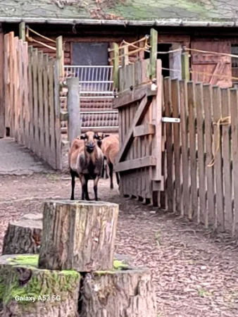 Bild von Landhaus / Waldklause