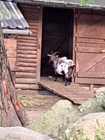 Bild von Landhaus / Waldklause