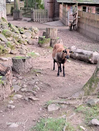 Bild von Landhaus / Waldklause