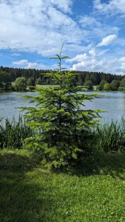 Bild von Forstteichschänke Lindenau