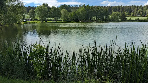 Bild von Forstteichschänke Lindenau