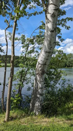 Bild von Forstteichschänke Lindenau